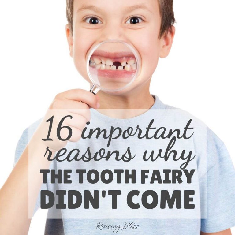16 Important Reasons Why the Tooth Fairy Didn’t Come