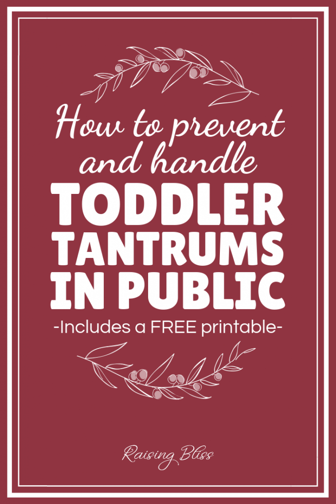 How to prevent and handle toddler tantrums in public by raising bliss